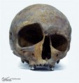 /album/fotogalerie/asymetrie-jpg/